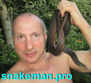 Snake Man with deadly snake